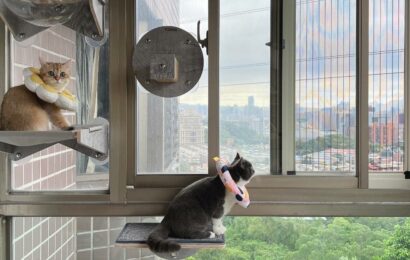 養貓防護網 宇奇隱形鐵窗美觀安全