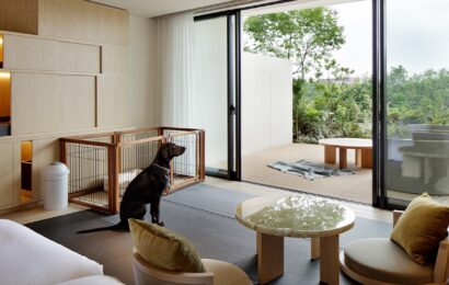 東京SORANO  HOTEL 給寵物的都市桃花源