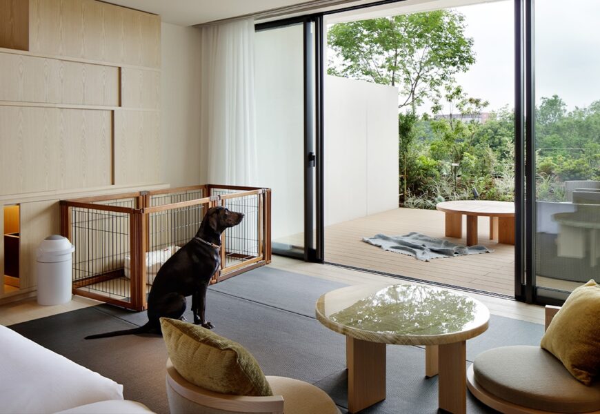 東京SORANO  HOTEL 給寵物的都市桃花源